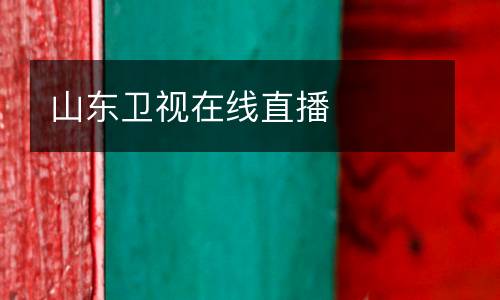 山东卫视在线直播